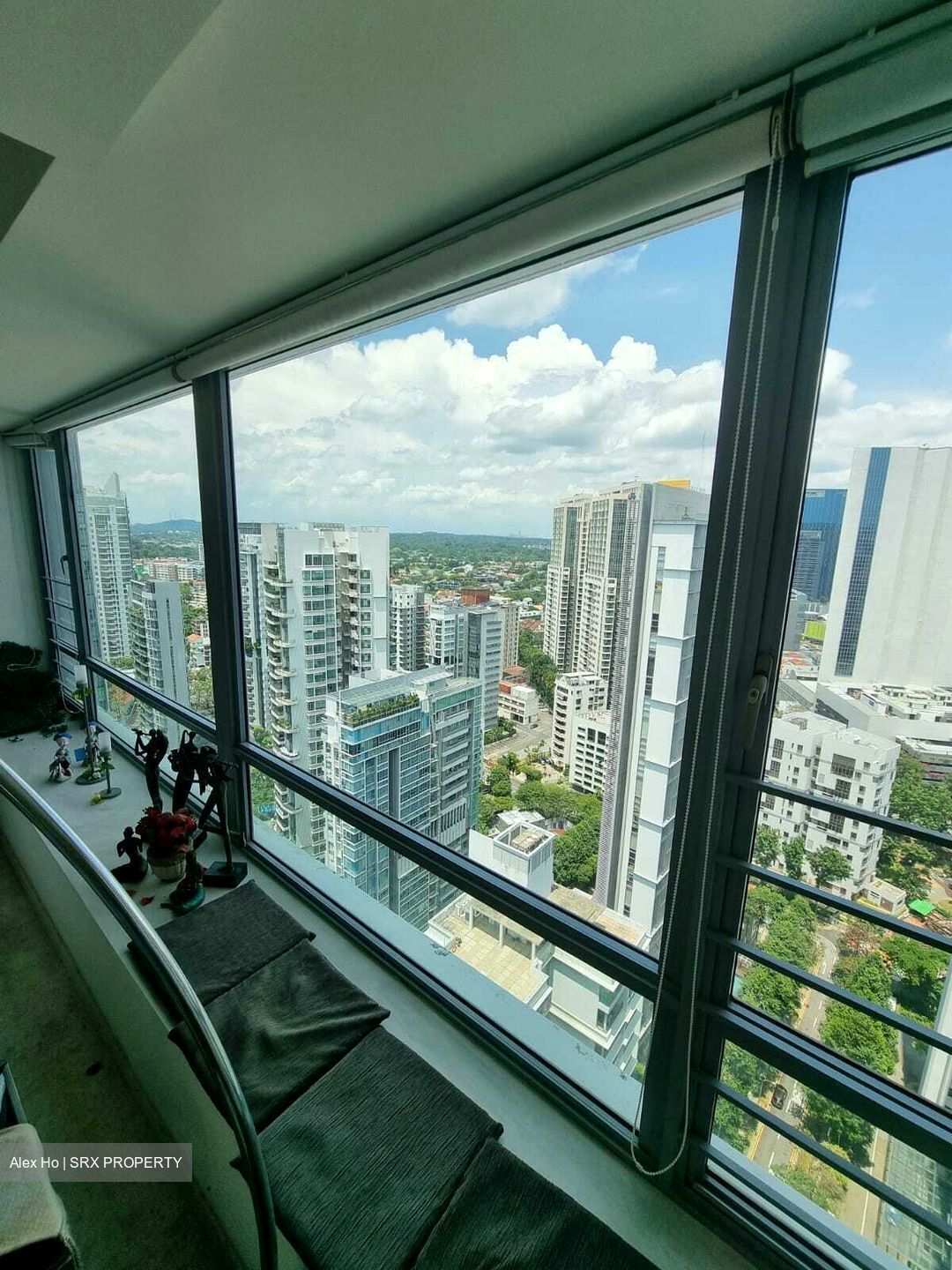 Park Infinia At Wee Nam (D11), Condominium #608594641